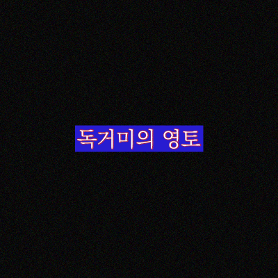 독거미의 영토